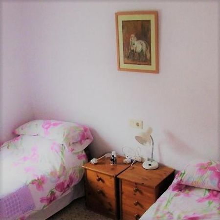 Recovery Mountain 2 Separate Beds In Room B&B 알리칸테 외부 사진